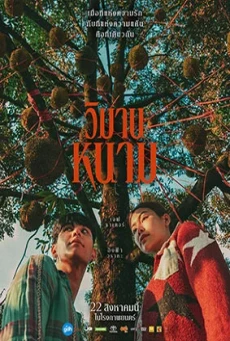 The Paradise of Thorns วิมานหนาม