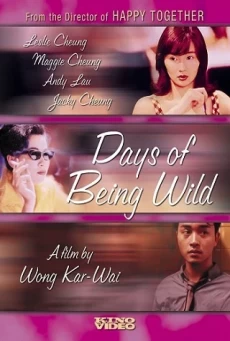 DAYS OF BEING WILD วันที่หัวใจรักกล้าตัดขอบฟ้า